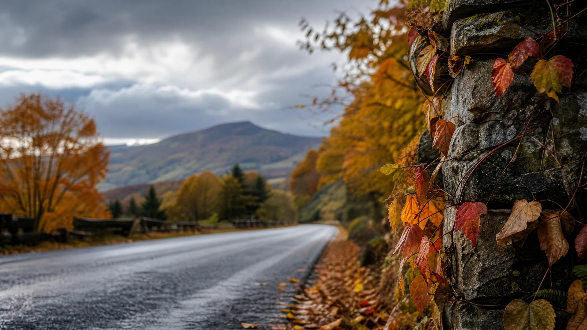 A wet curving road beside a stone wall covered in red and orange creeper leaves, with autumn trees and a hill under a cloudy sky in the background.
